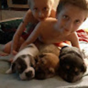 Meet your Posher, Mandy